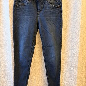 Democracy Dark Blue Skinny Jeans